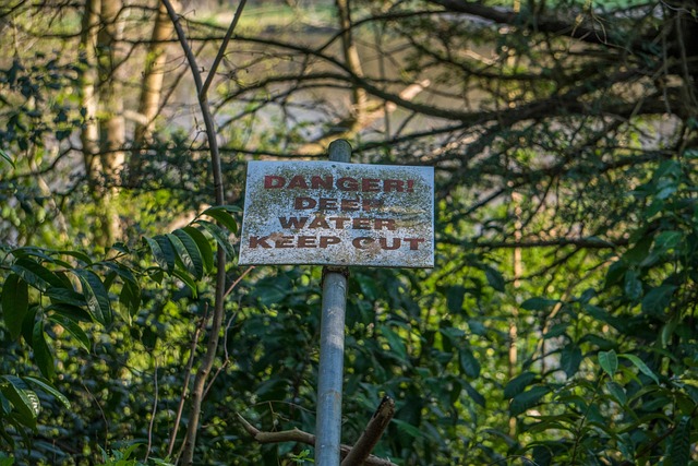 Map showing the location of SIVA LTD at 217 Godstone Road Whyteleafe Surrey CR3 0EL with surrounding streets and landmarks visible in a clean modern map style