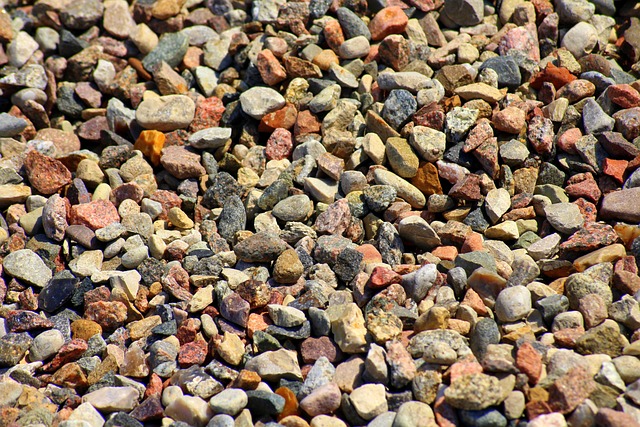 Overhead view of premium food ingredients artfully scattered on a dark surface including dried herbs, spice seeds, and salt crystals